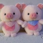 Imagen anterior del producto